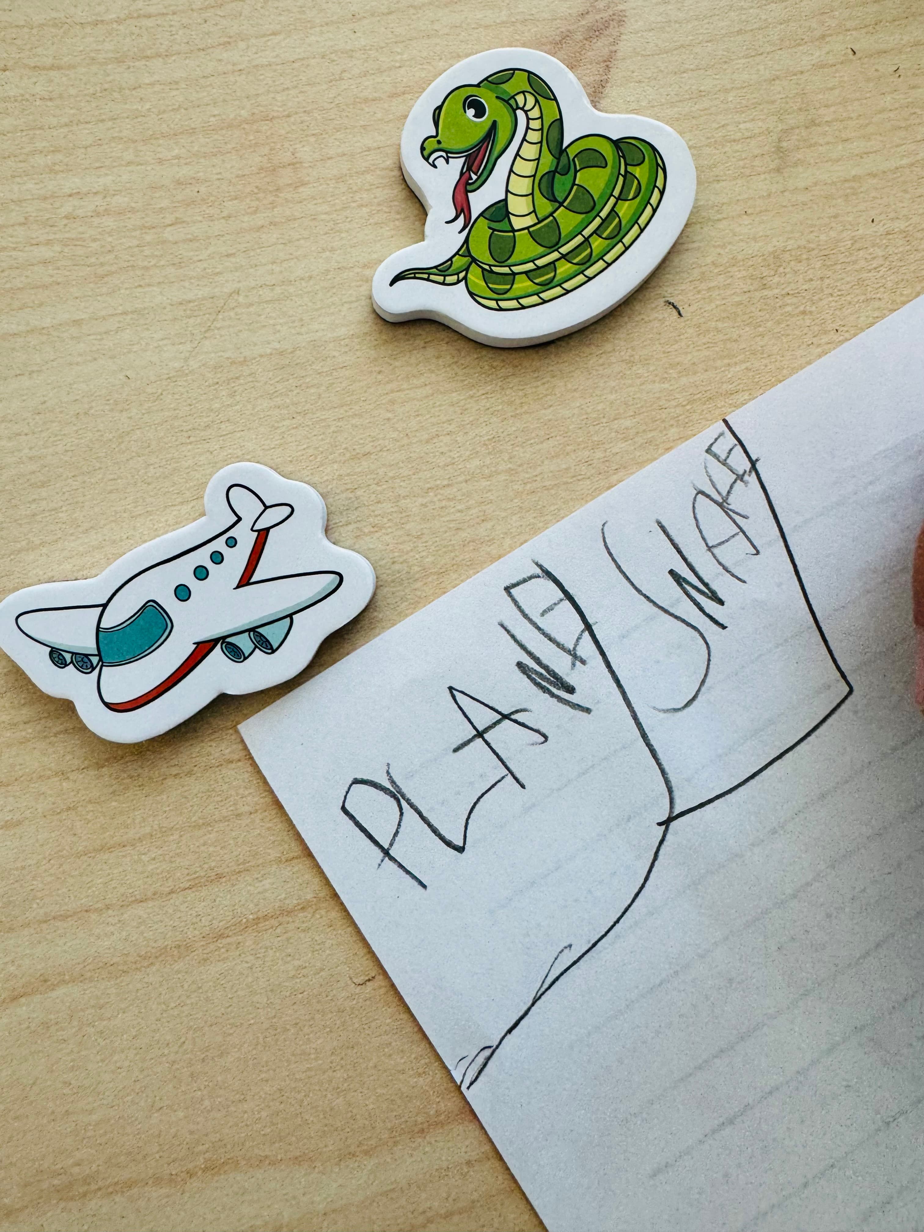 Executive function coaching