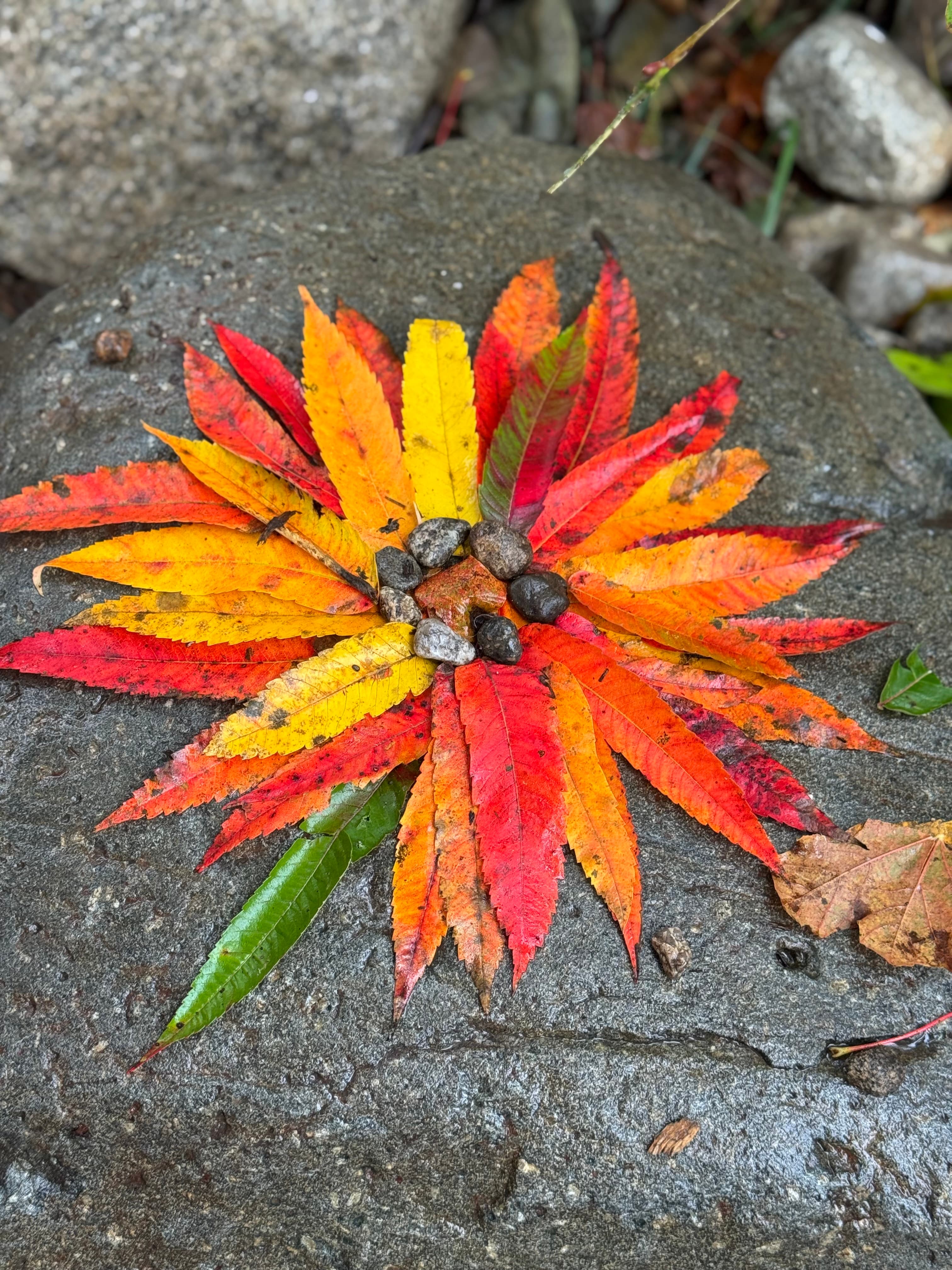 Neurodivergent learning support